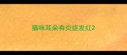 猫咪耳朵有炎症发红