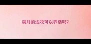 满月的边牧可以养活吗