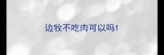 边牧不吃肉可以吗