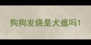 狗狗发烧是犬瘟吗
