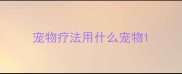 宠物疗法用什么宠物