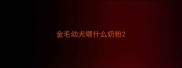 金毛幼犬喂什么奶粉