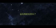 金毛狗的毛变白了