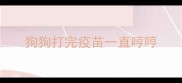 狗狗打完疫苗一直哼哼