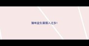 猫咪益生菌摄入过多