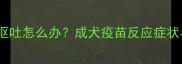 狗狗接种疫苗后呕吐怎么办成犬疫苗反应症状与应急处理指南