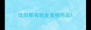 沈阳那有批发宠物用品