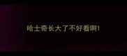 哈士奇长大了不好看啊