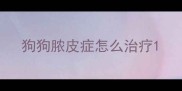 狗狗脓皮症怎么治疗