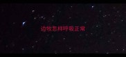边牧怎样呼吸正常