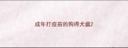 成年打疫苗的狗得犬瘟
