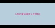 小狗正常体温多少正常吗