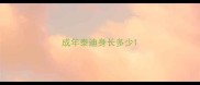成年泰迪身长多少