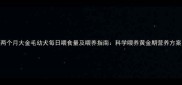 两个月大金毛幼犬每日喂食量及喂养指南科学喂养黄金期营养方案