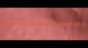 狗狗疫苗后出现中毒症状这份超全护理指南救急