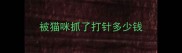 被猫咪抓了打针多少钱