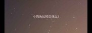 小狗先拉稀后便血
