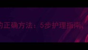 边牧清洗耳朵的正确方法5步护理指南预防耳部感染