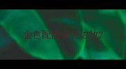 金色配陨石色边牧