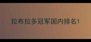拉布拉多冠军国内排名