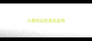 小狗可以吃西瓜皮吗