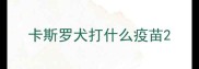 卡斯罗犬打什么疫苗