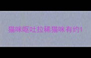 猫咪呕吐拉稀猫咪有约