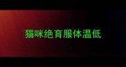 猫咪绝育服体温低
