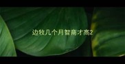 边牧几个月智商才高