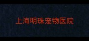 上海明珠宠物医院