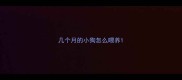 几个月的小狗怎么喂养