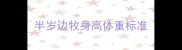 半岁边牧身高体重标准