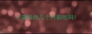 小猫鸡肉几个月能吃吗