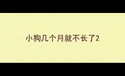 小狗几个月就不长了