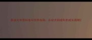 泰迪犬体型标准与饲养指南从幼犬到成年的成长周期