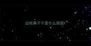 边牧鼻子干是什么原因