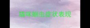 猫咪蛔虫症状表现