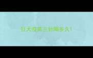 狂犬疫苗三针隔多久