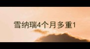 雪纳瑞4个月多重