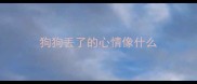 狗狗丢了的心情像什么