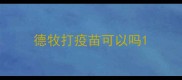 德牧打疫苗可以吗