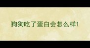 狗狗吃了蛋白会怎么样