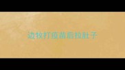 边牧打疫苗后拉肚子