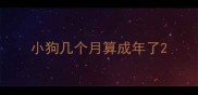 小狗几个月算成年了