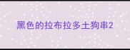 黑色的拉布拉多土狗串