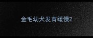 金毛幼犬发育缓慢