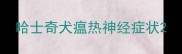 哈士奇犬瘟热神经症状