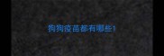 狗狗疫苗都有哪些