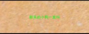 新来的小狗一直叫