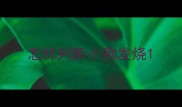 怎样判断小狗发烧